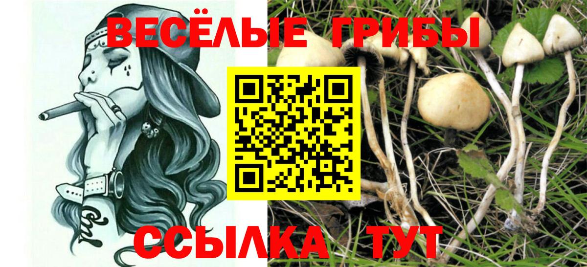 Галлюциногенные грибы Cubensis  закладка  Менделеевск  Вход с VPN 