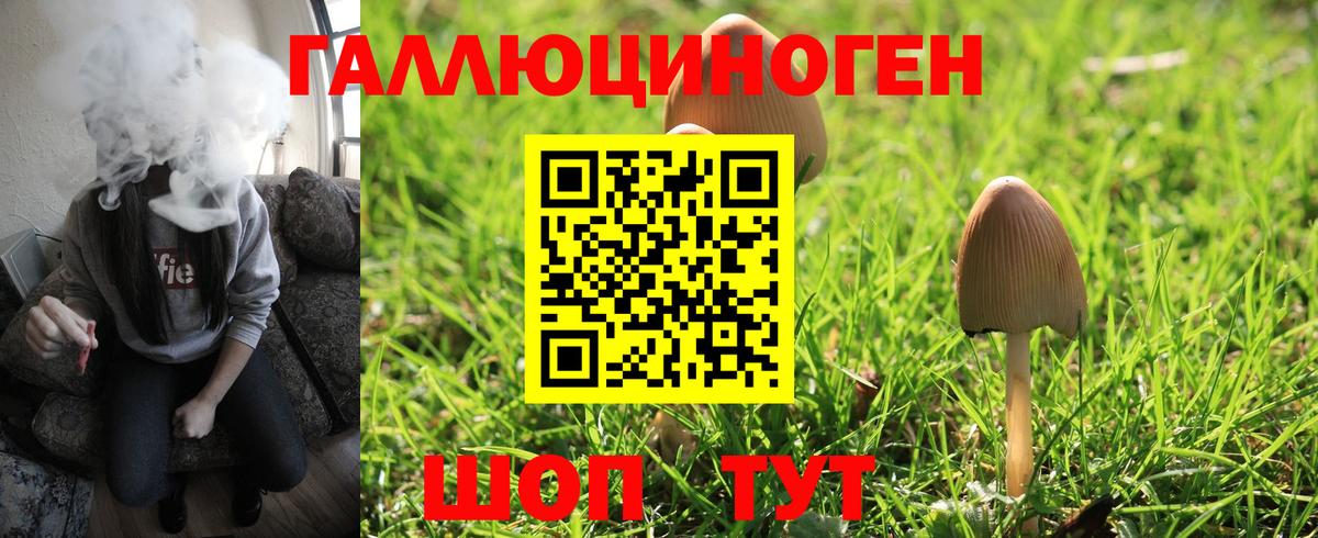 Галлюциногенные грибы Psilocybe Менделеевск